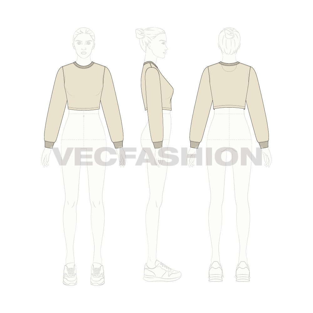 Womens full sleeves crop sweatshirt flat sketch, croqui sketch