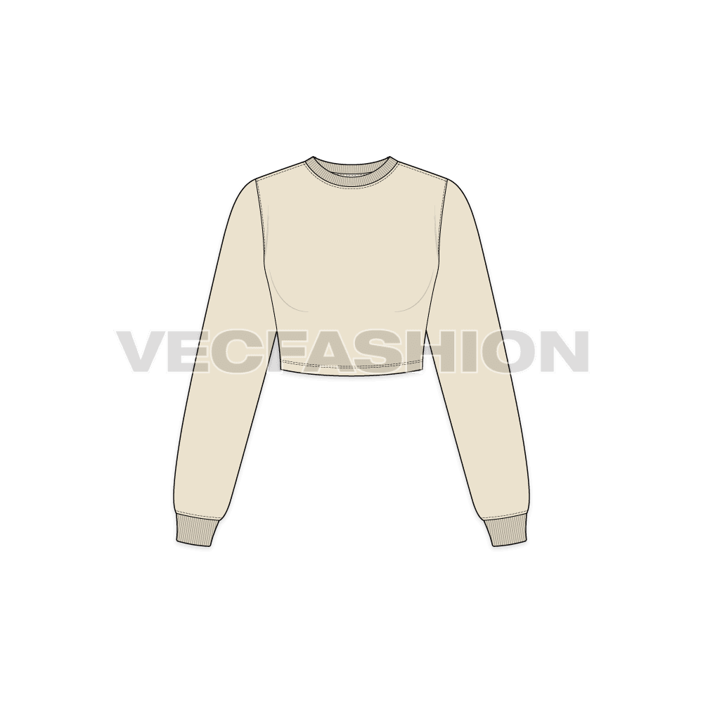 Womens full sleeves crop sweatshirt flat sketch, front view