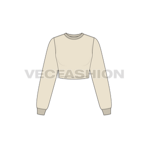 A vector illustrator sketch template of Women's Full Sleeves Crop Sweatshirt. It is illustrated with Front, Side and Back view. It has rib on neck and sleeve cuffs.