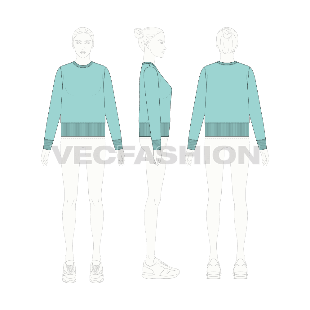 Womens large rib slim-fit sweatshirt flat sketch, croqui sketch