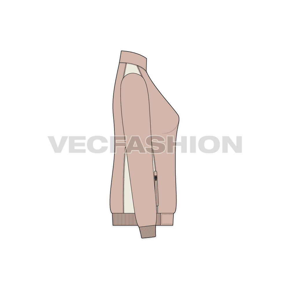 A vector apparel template for Women's Light Weight Winter Jacket. It has contrast colored panels on shoulder and side body. The metal auto stop zip puller is a detailed vector illustration.