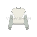 Womens lose fit sweatshirt, panel flat sketch, front view