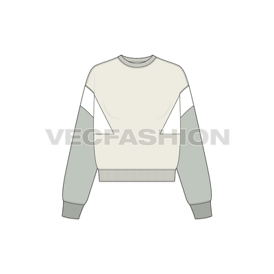 A new vector illustrator template of Women's Lose Fit Sweatshirt. It has cut n sew panels in contrast color with wide body cut.