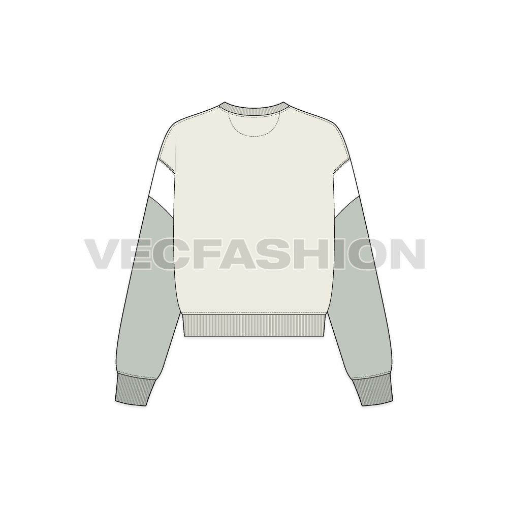 Womens lose fit sweatshirt, panel flat sketch, back view