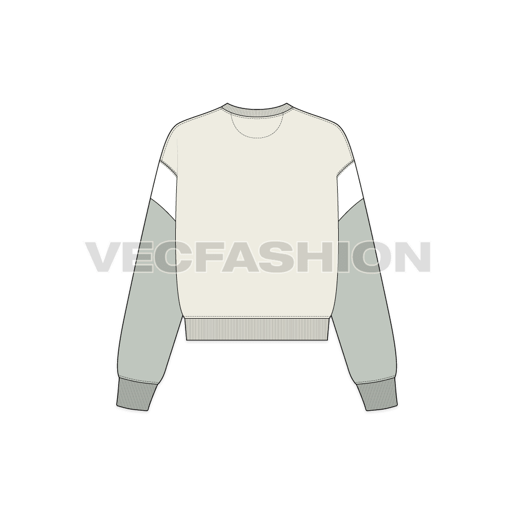 A new vector illustrator template of Women's Lose Fit Sweatshirt. It has cut n sew panels in contrast color with wide body cut.