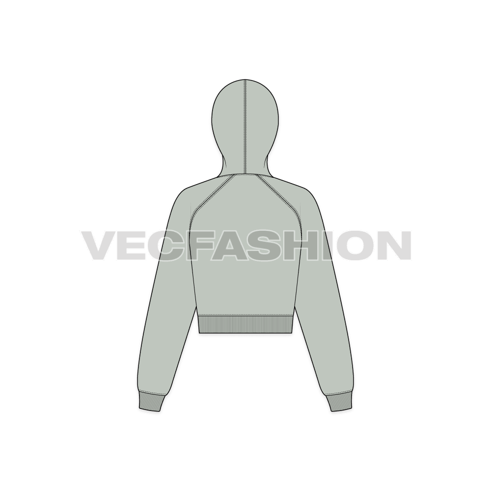 Womens raglan sleeve crop hoodie flat sketch, back view