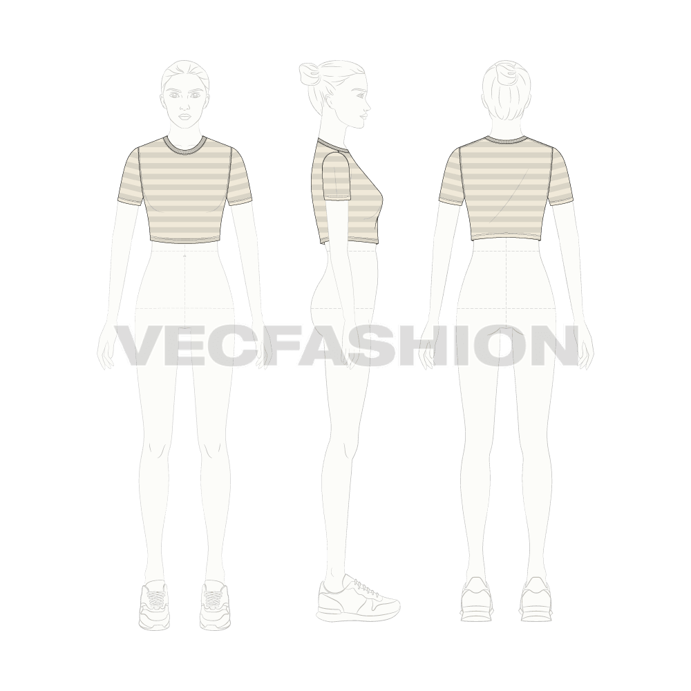 Womens round neck crop tee, striped flat sketch, croqui sketch