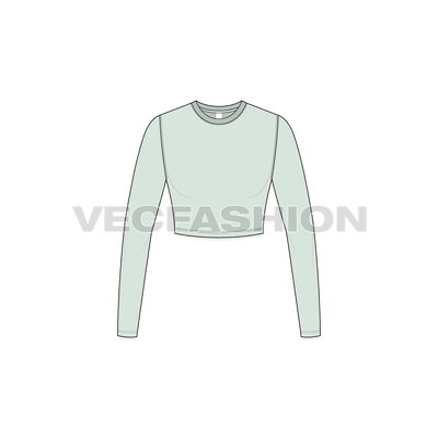 A vector fashion template for Women's Round Neck Crop Tee.