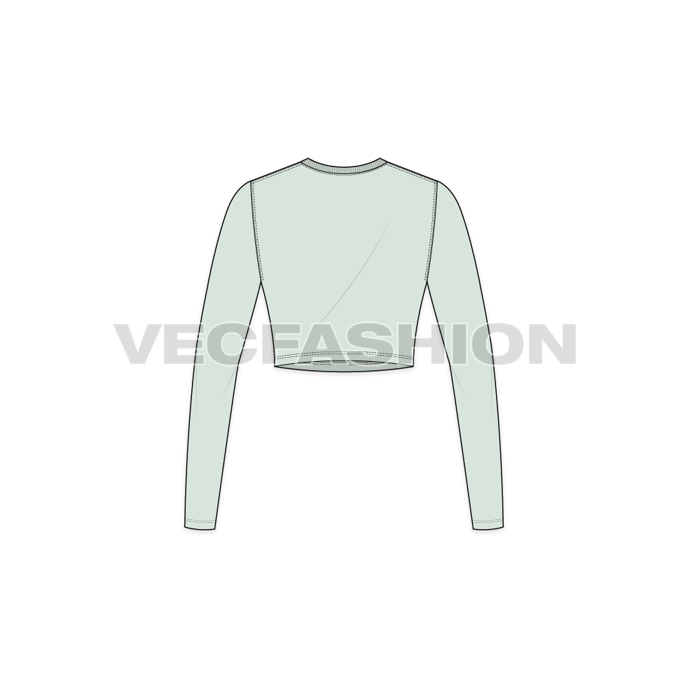 Womens round neck crop tee, ribbed flat sketch, back view