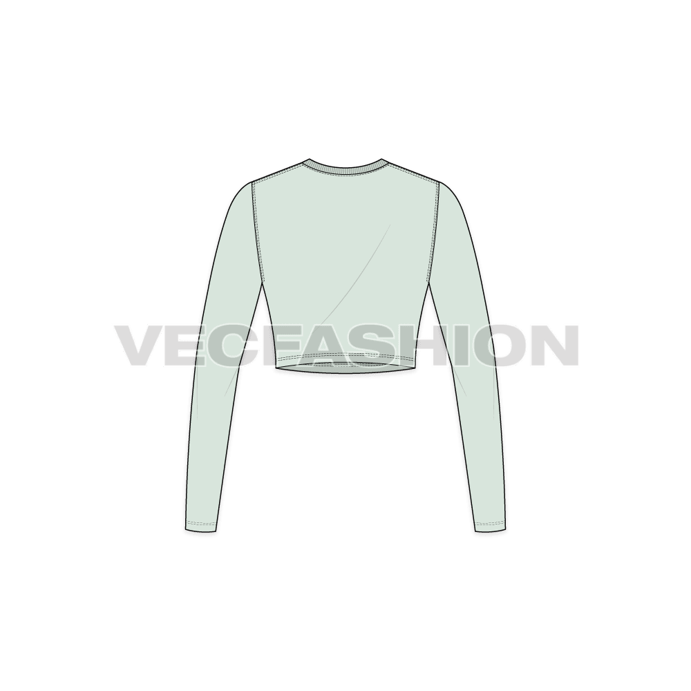 A vector fashion template for Women's Round Neck Crop Tee.