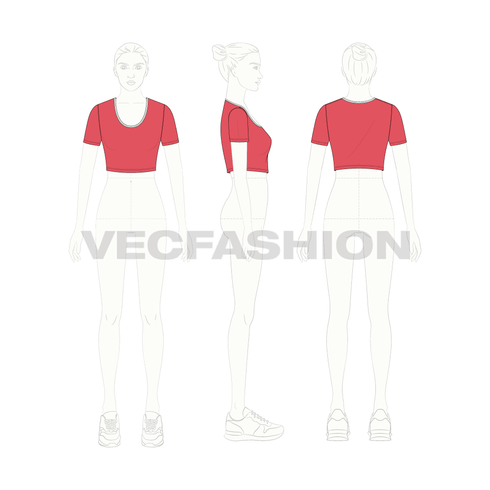 Womens scoop neck crop tee flat sketch, croqui sketch