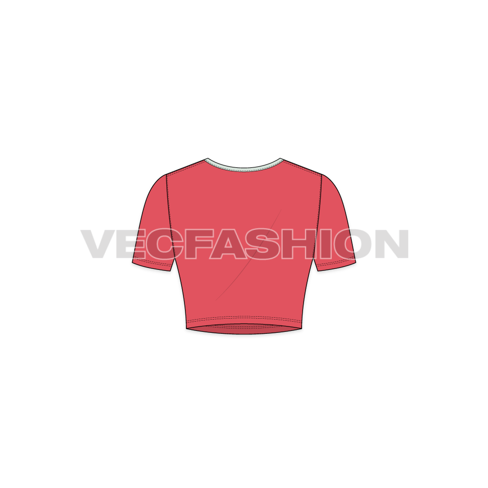 Womens scoop neck crop tee flat sketch, back view