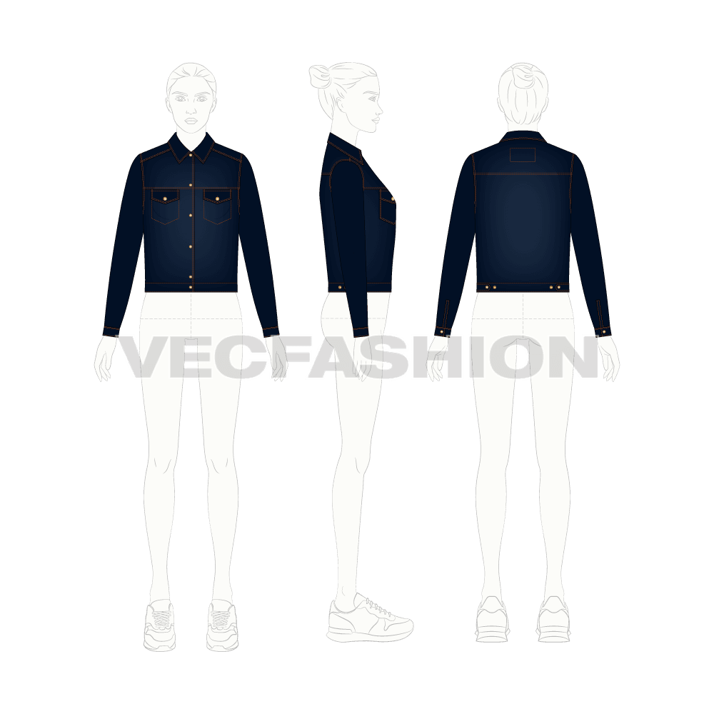 Women's Slim Fit Short Body Denim Jacket flat sketch, croqui sketch