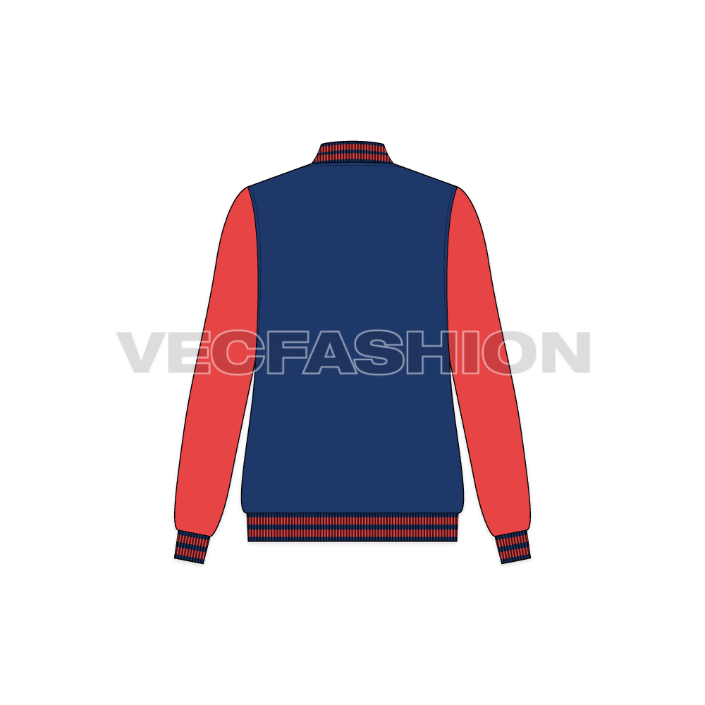 Women's Sport Varsity Jacket flat sketch, back view
